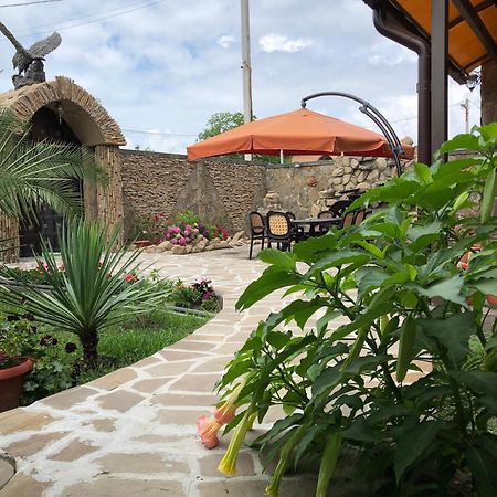 Hôtel Гостевой Дом Siella à Soukhoumi Extérieur photo